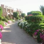 Conrad Resort Sharm, Шарм-Ель-Шейх, Єгипет